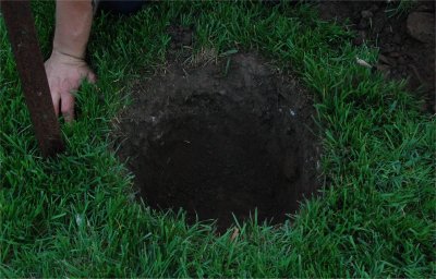 On creuse le trou pour mettre la motte de l'arbre complètement